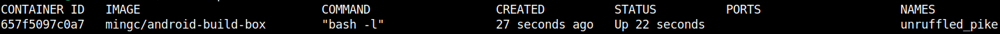 docker ps output